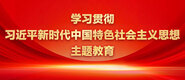 日麻屄学习贯彻习近平新时代中国特色社会主义思想主题教育_fororder_ad-371X160(2)